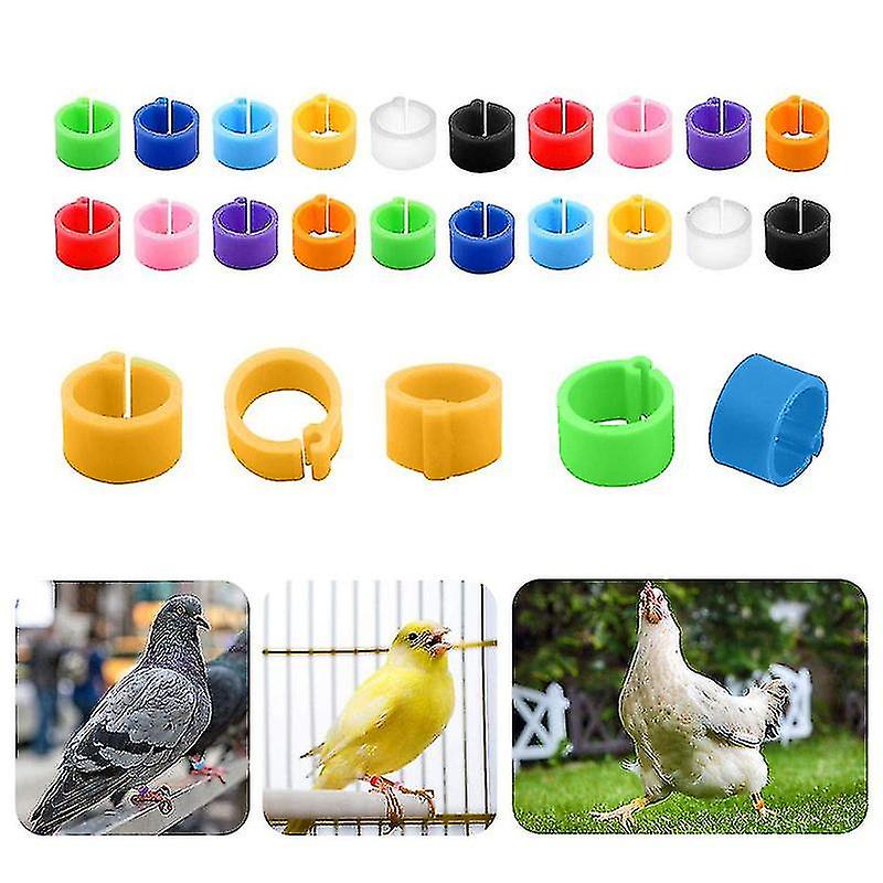 10pcs Birds Foot Rings Pigeons Identification Opening Foot Ring Colorful Plastic 8mm Foot Clip Chicken Leg Band