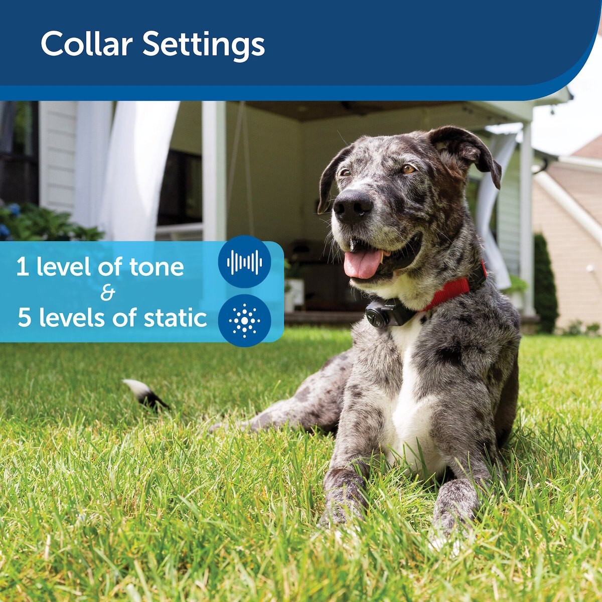 PetSafe In-Ground Fence System