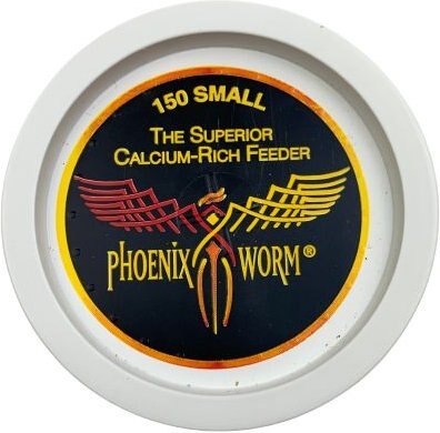 ABDragons Small Phoenix Worms Small Pet and Reptile Food