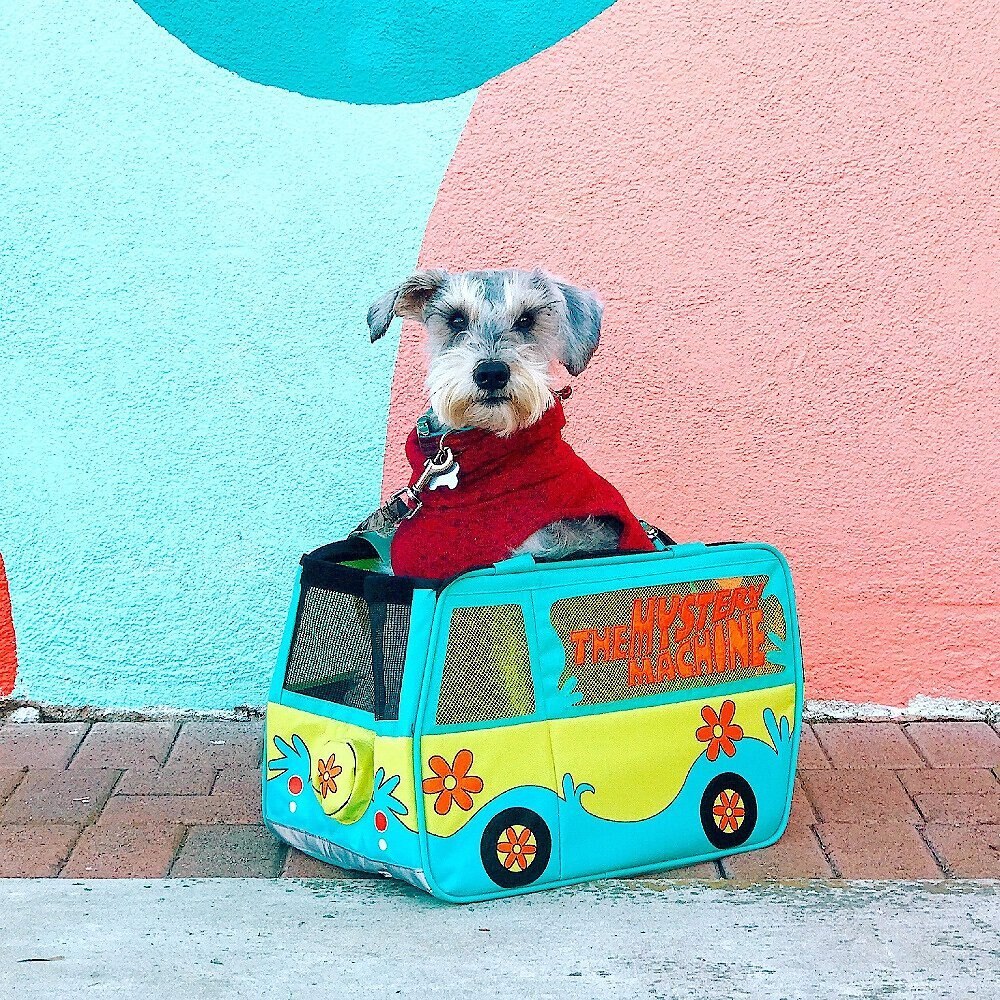 Buckle-Down Scooby Doo THE MYSTERY MACHINE Van Dog and Cat Carrier