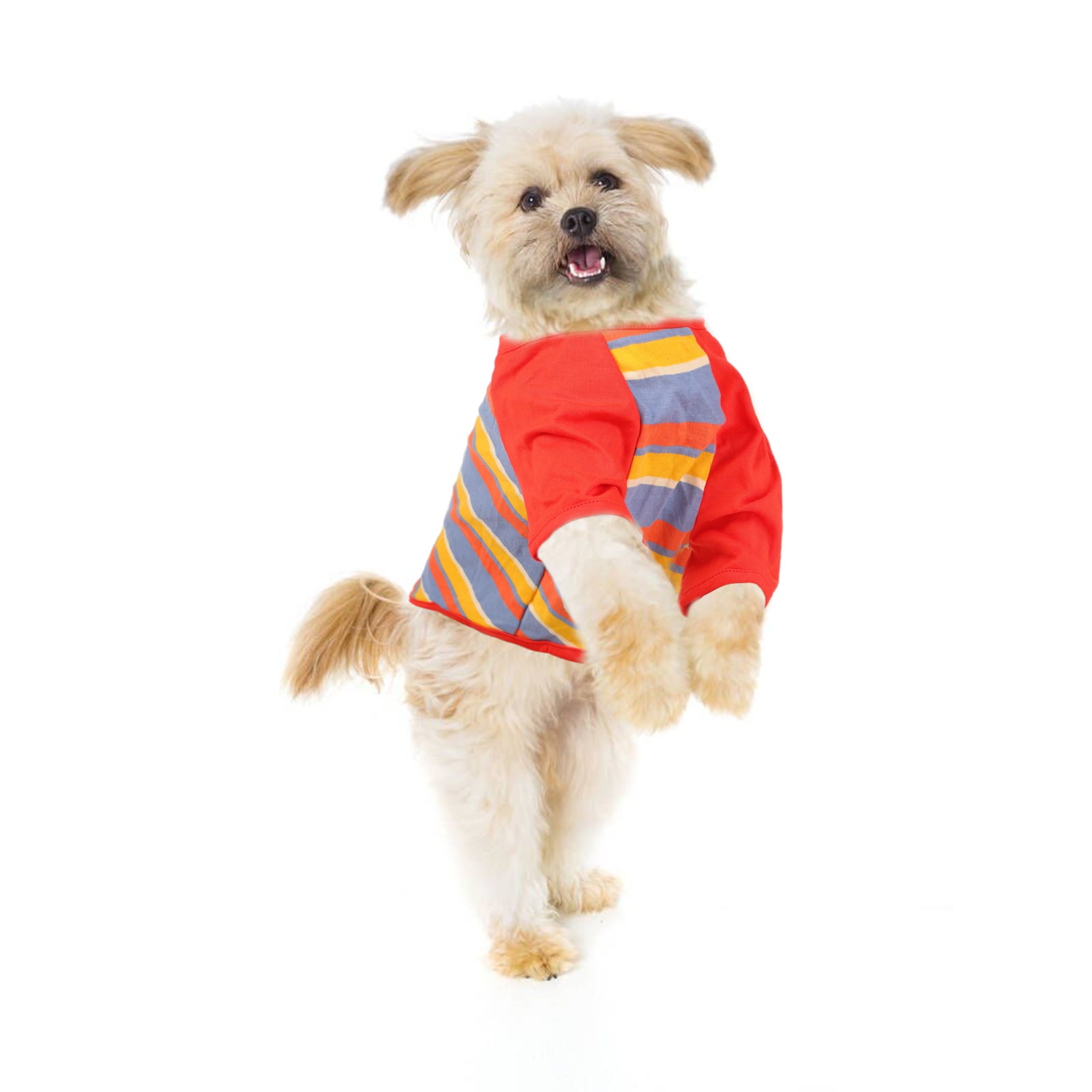 Preferhouse Dog Shirt Lightweight Stretchy Soft Cool Breathable Apparel Colourful Stripe Clothes for Small Medium large Dogs Puppy