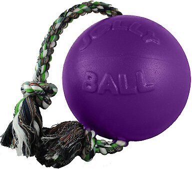 Jolly Pets Romp-n-Roll Dog Toy