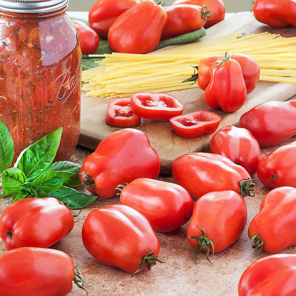 Bonnie Plants 19 oz. San Marzano Tomato Plant 0247