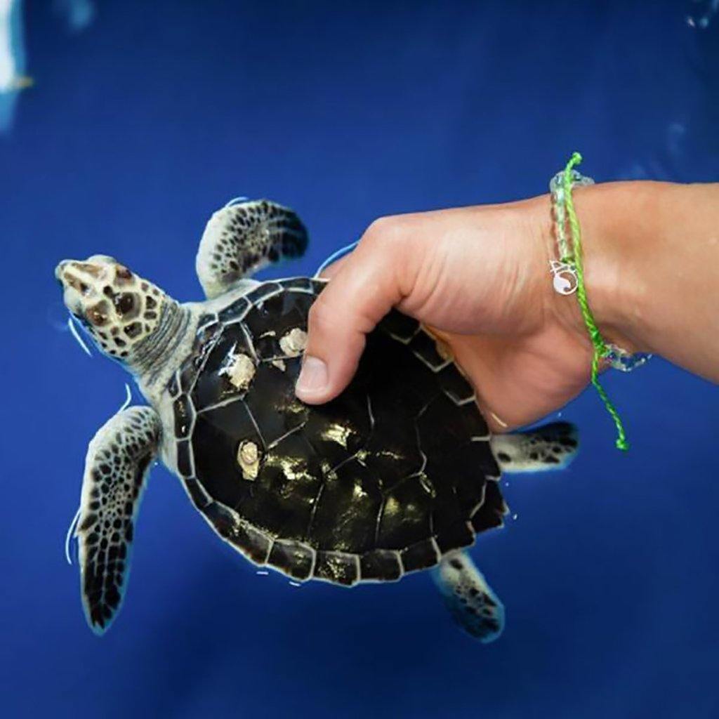 4Ocean  Sea Turtle Bracelet