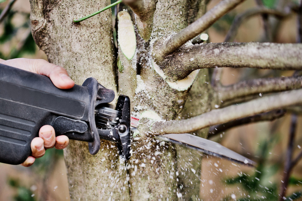 Diablo Tools 9 Fleam Ground Recip Blade for Pruning