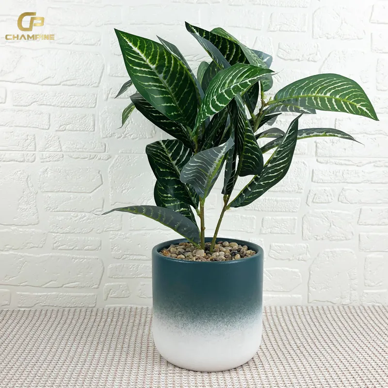 Wholesale Custom Garden Supplies Potted Plant Green Plants Pots Home Decorative Ceramic Flower Pot