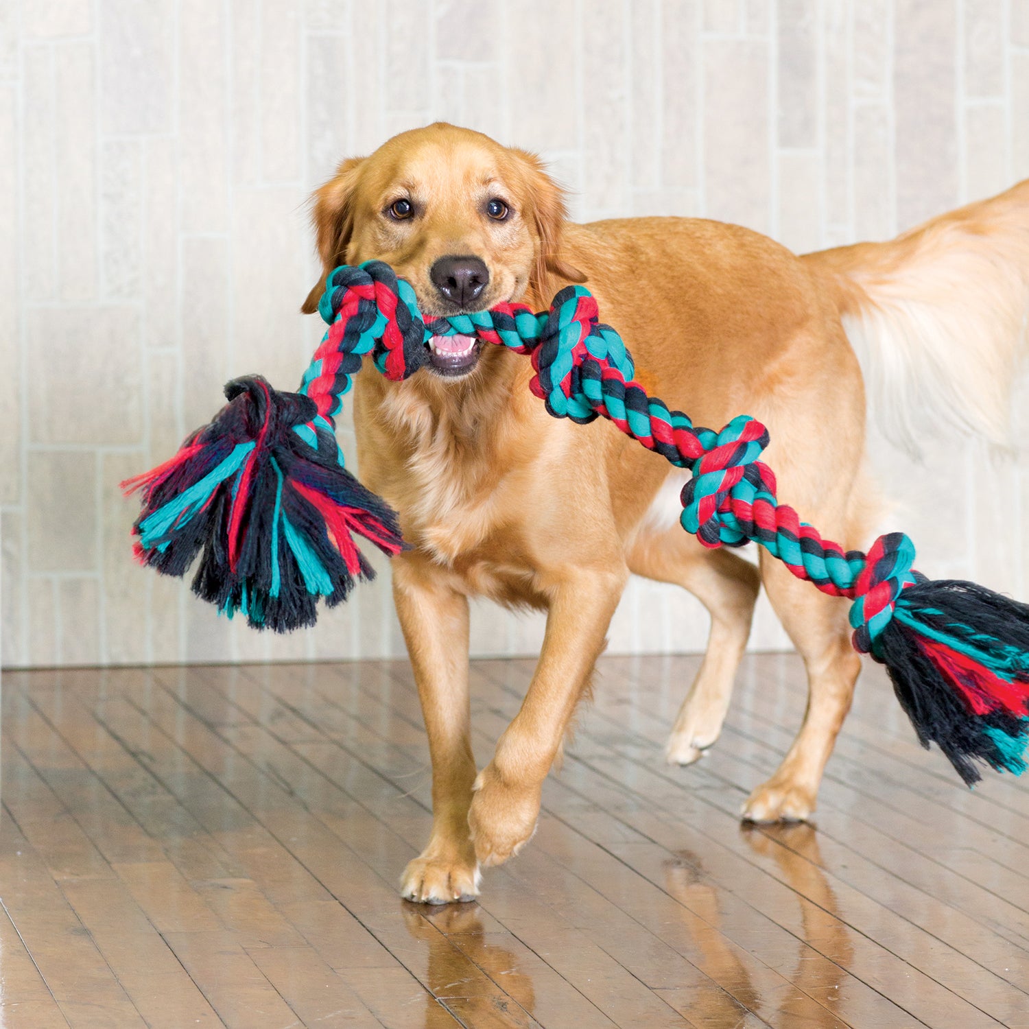 Mammoth Flossy Chews Extra Large Poly Cotton 5 Knot Rope Tug Dog Toy， Assorted Colors