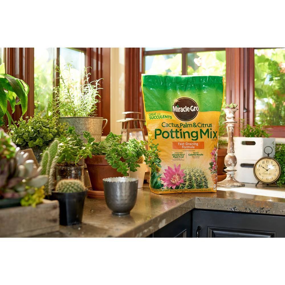 Miracle-Gro 8 Qt. Cactus Palm and Citrus Potting Mix 72078500