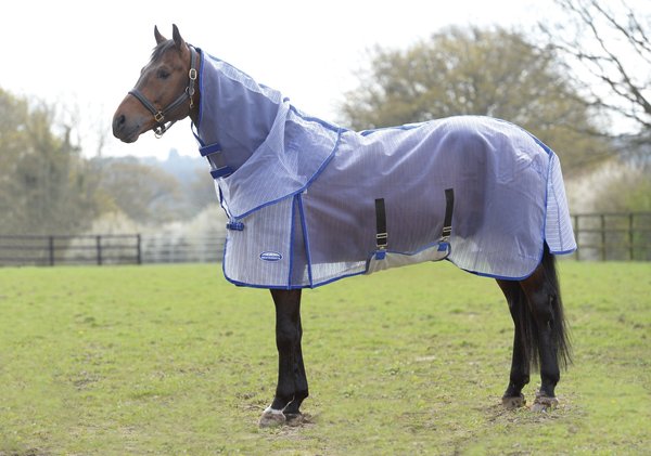 WeatherBeeta Comfitec Ripshield Plus and Belly Wrap Detach A Neck Horse Blanket