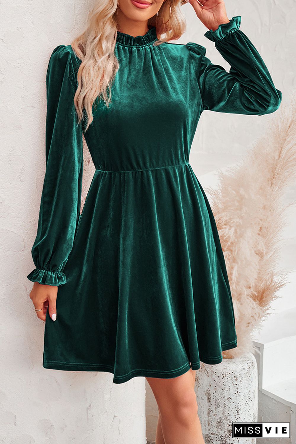 Plain Velvet Long Sleeves Dress