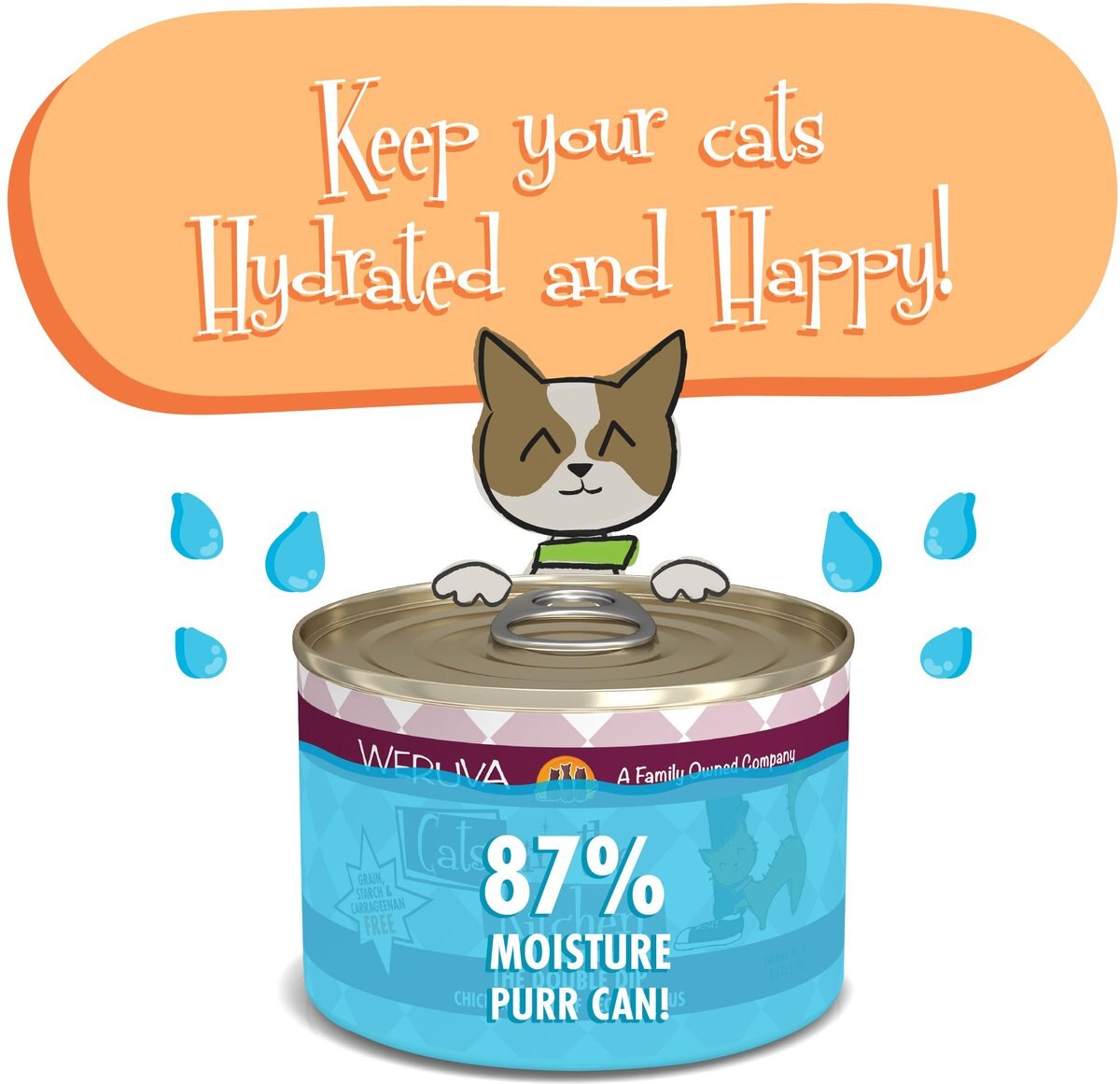 Weruva Cats in the Kitchen The Double Dip Chicken and Beef Au Jus Grain-Free Canned Cat Food