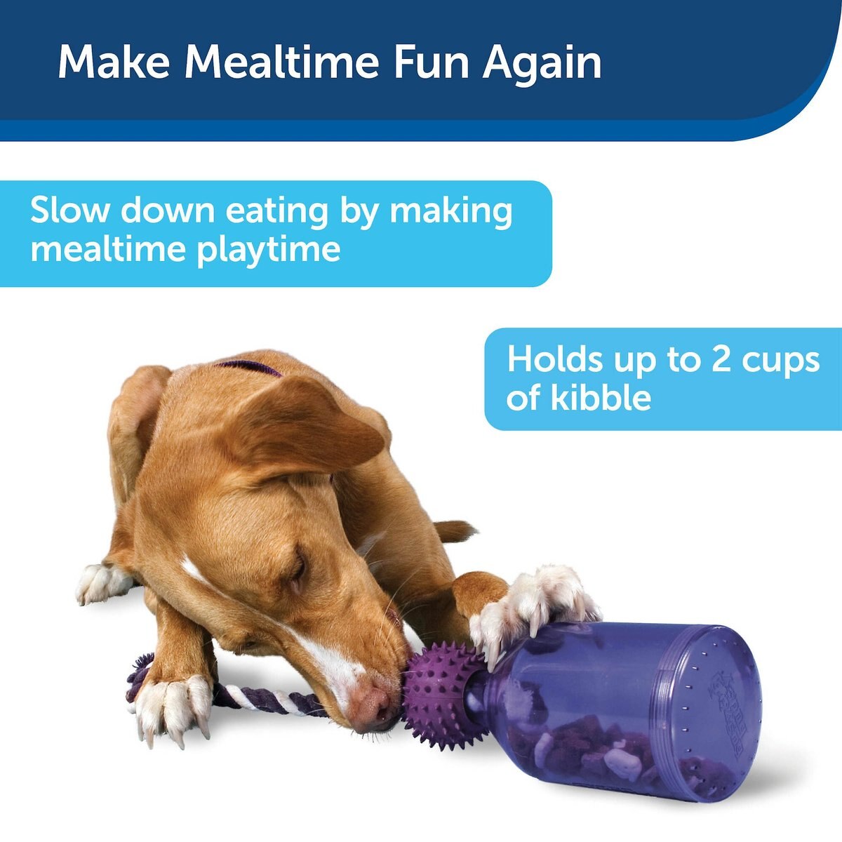 PetSafe Busy Buddy Tug-A-Jug Treat Dispenser Tough Dog Chew Toy