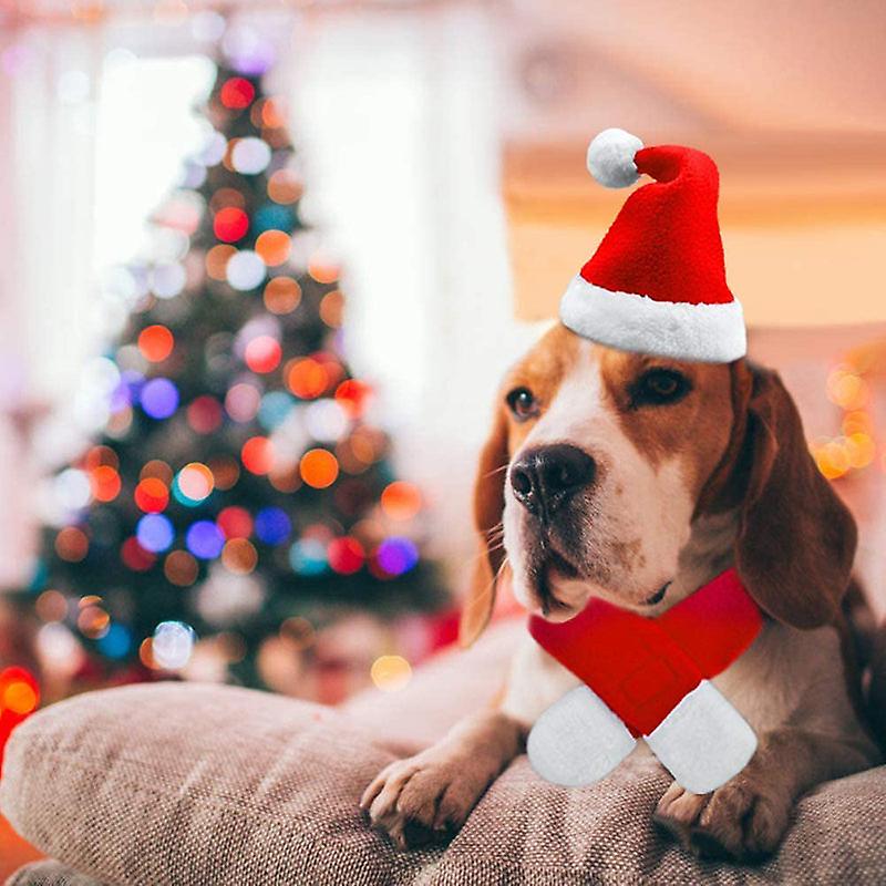 Cute christmas dog hat and scarf set