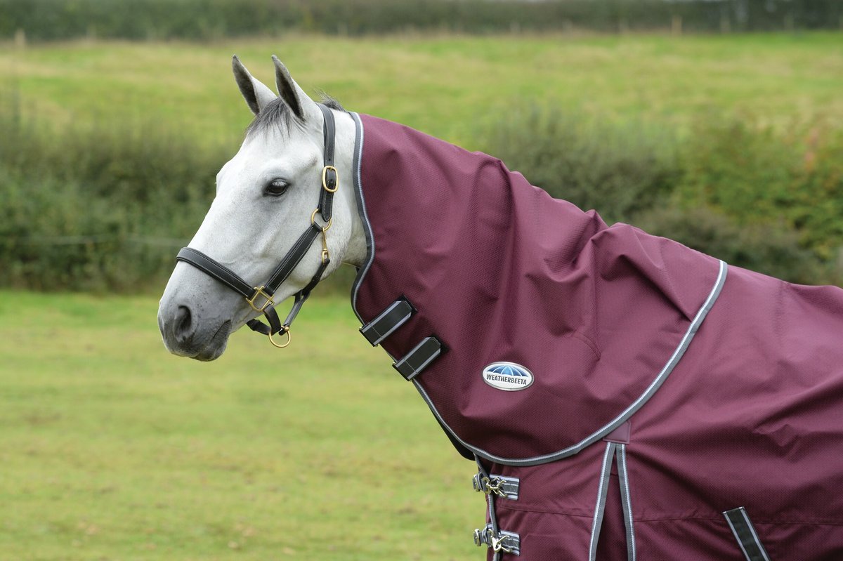 WeatherBeeta Comfitec Plus Dynamic II Neck Rug， Medium， Maroon/Grey/White