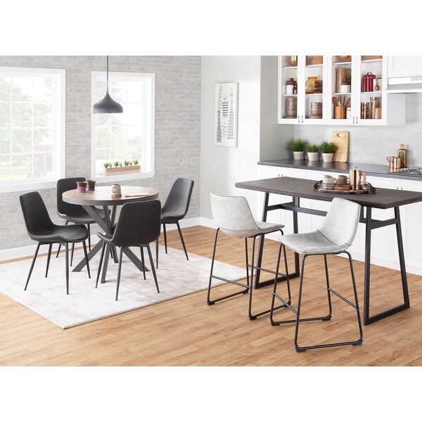 Carbon Loft Richard Industrial Counter Stool (Set of 2)