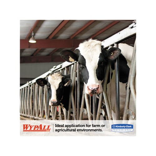 Wypall L10 SANIPREP Dairy Towels  KCC01770