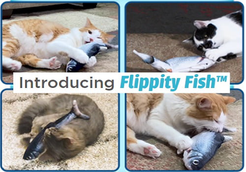 Flippity Fish Cat Toy， Interactive Cat Toy， Flips， Flops and Wiggles Like a Real Fish， Motion Activated， Cat Fun toy， Exercise for Cats， Includes Catnip， Helps Stop Clawing and Scratching， Animal Toys