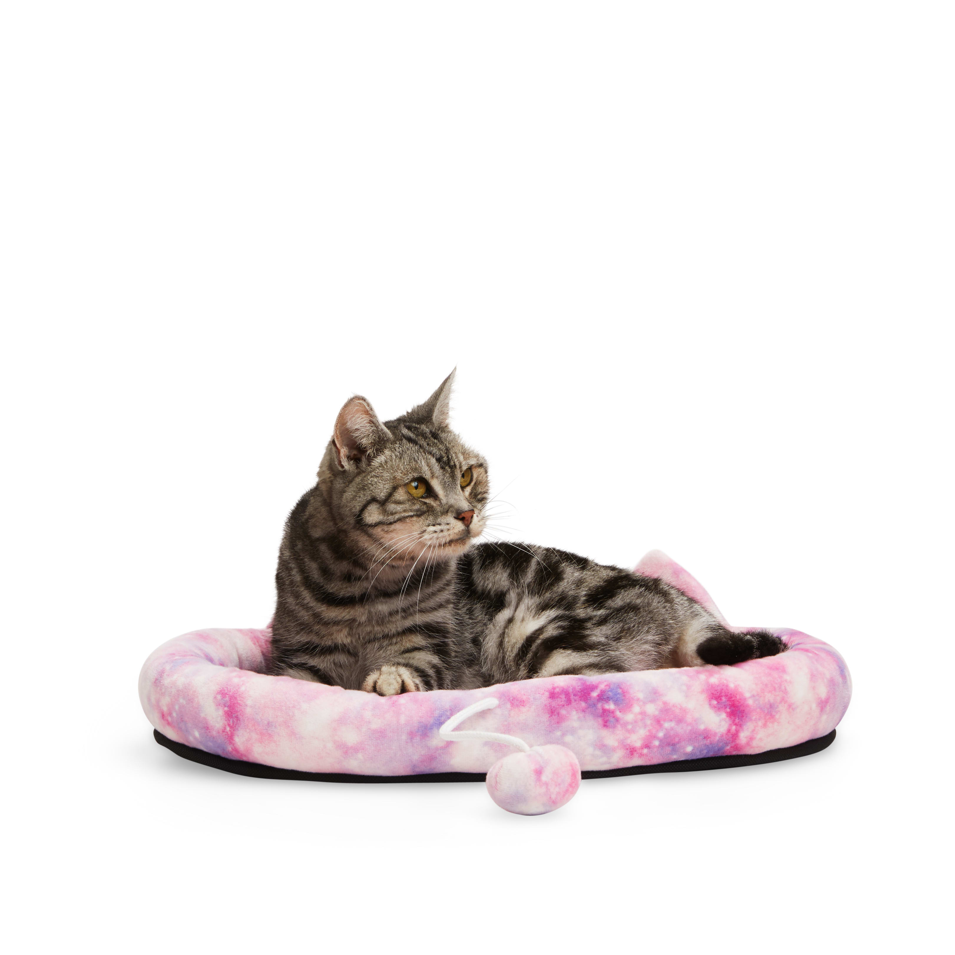 EveryYay Essentials Galaxy Cat Head Donut Bed， 17