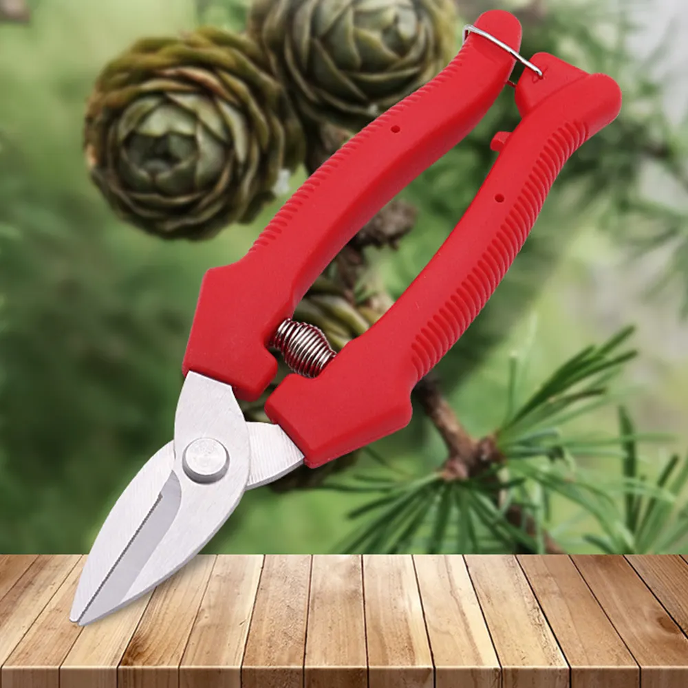 Agricultural Garden Tool Small Garden Bypass Tree Pruning Shears Branch Cutting Pruner With High Quality Floral Scissors