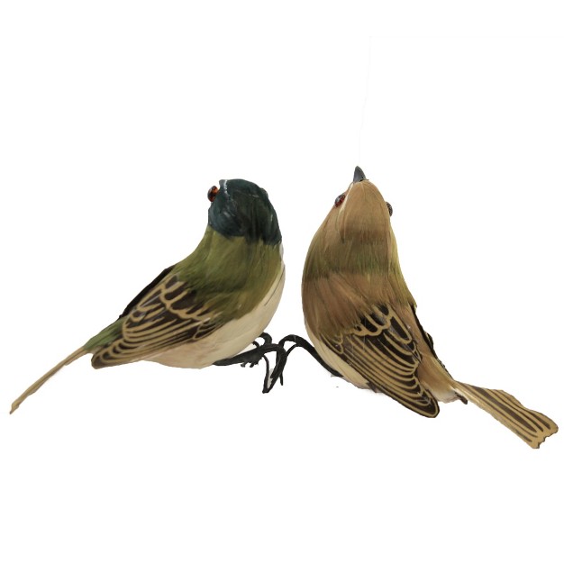 Home Decor Feather Birds Brown Green Two Bird Figurines 3 25 Inches Chirp Song 55157 55158 Styrofoam Multicolored