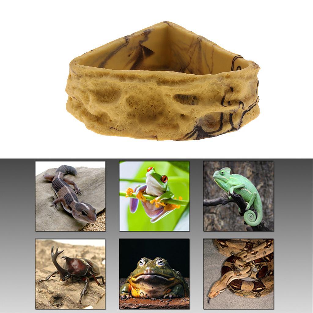 Non- Reptile Vivarium Terrarium Water Dish Feeder Tortoise Feeding Bowl - 3 3