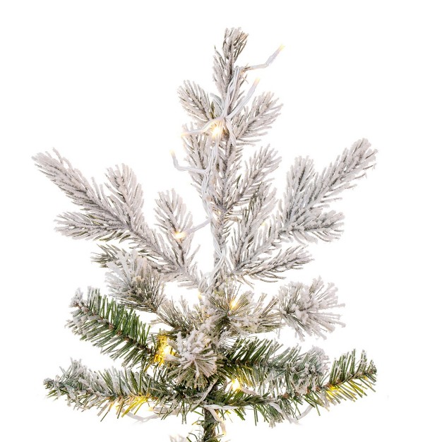 Vickerman Flocked Slim Kiana Artificial Christmas Tree， 3mm Led Color Changing Lights