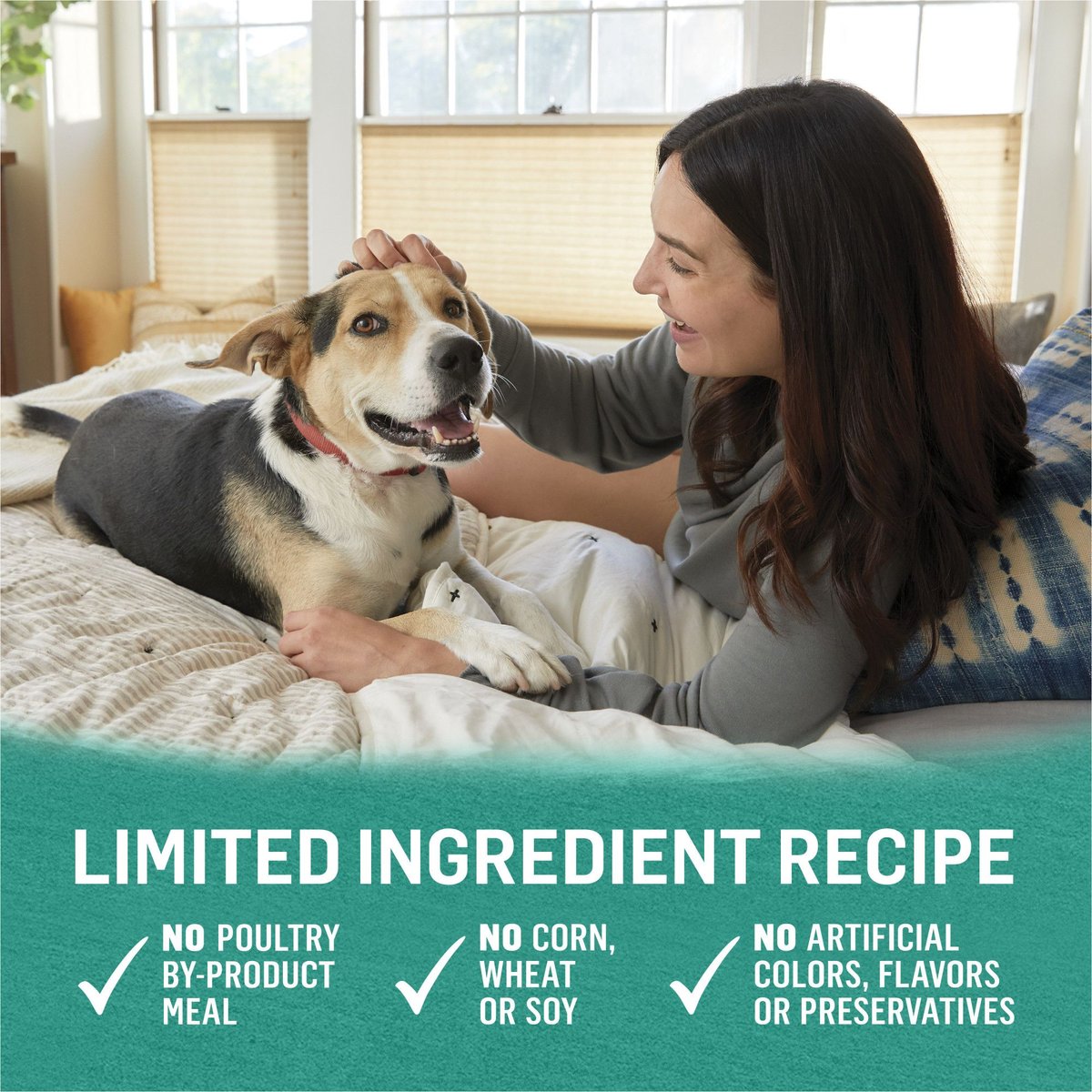 Purina Beyond Alaskan Cod， Salmon and Sweet Potato Grain-Free Canned Dog Food