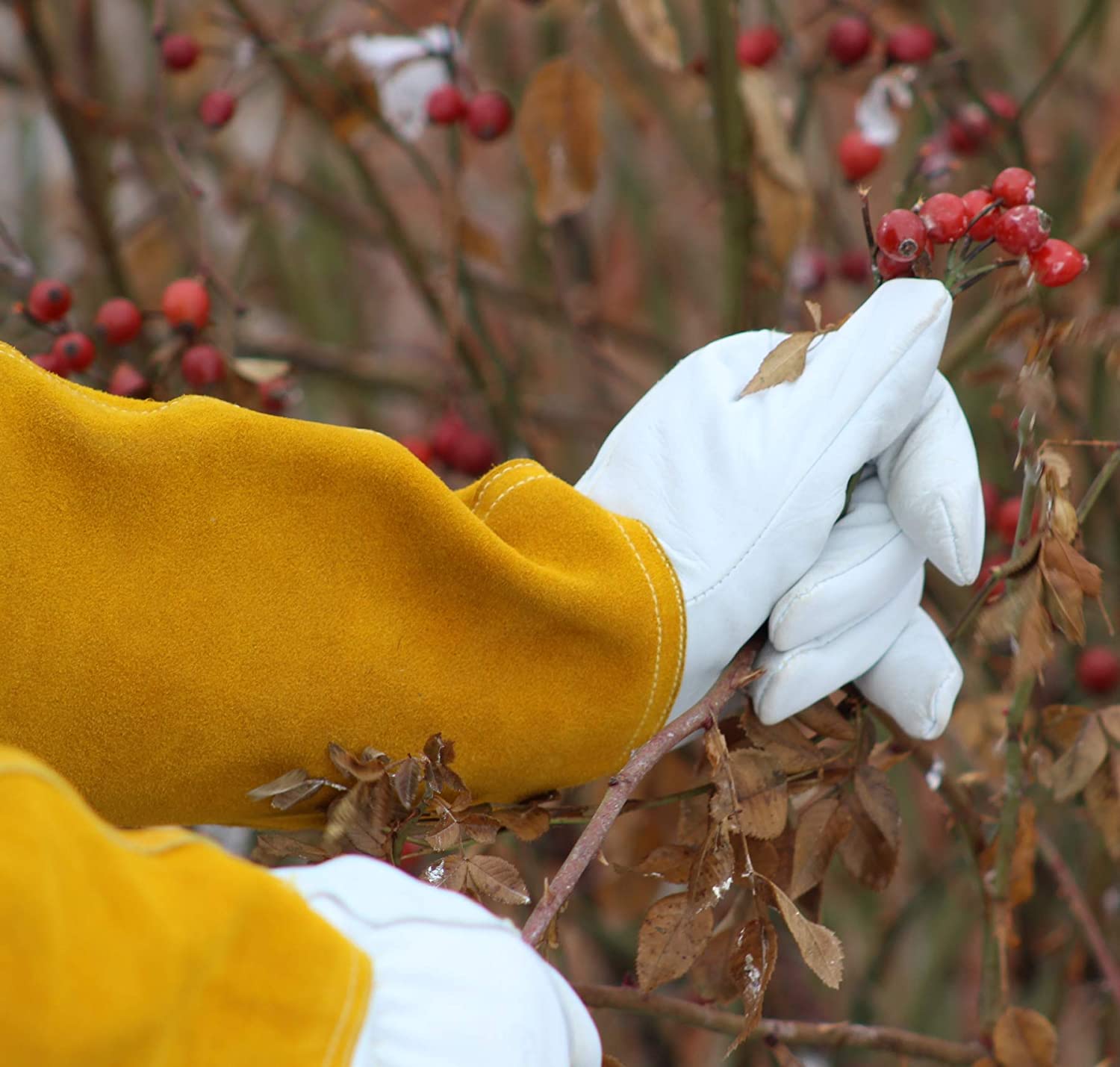 Rose Pruning Gloves Medium -Leather Gardening Gloves with Kevlar Lining for Women and Men - Gauntlet for Weeding, Lady Palm Plant Protection (Medium)