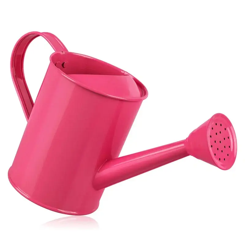 Hot selling Decorative Indian Supply At reasonable price Blue/Pink Color Round Metal Small Watering Can For Home Hotel Decor