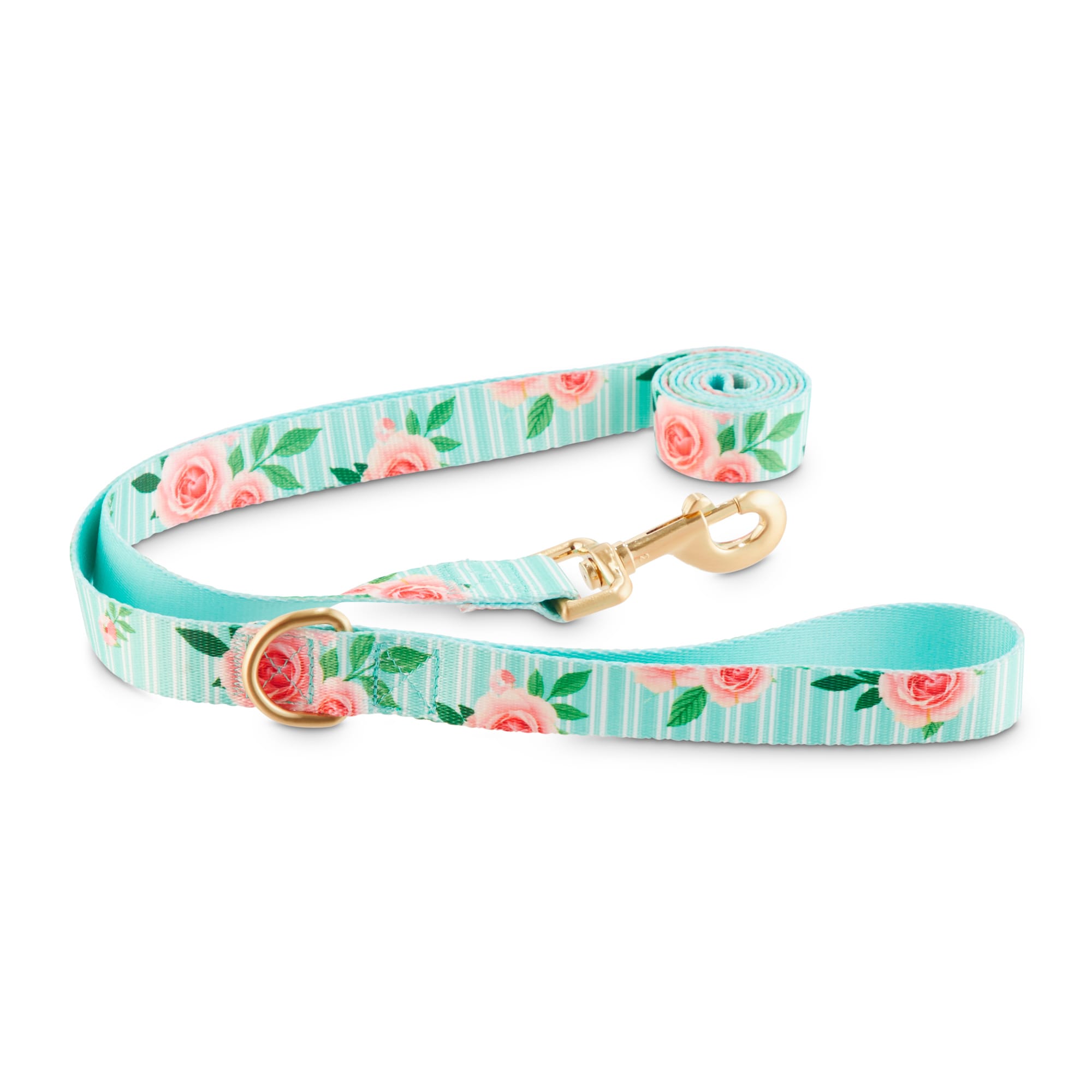 Good2Go Pink Rose Print Dog Leash in Blue， 6 ft.