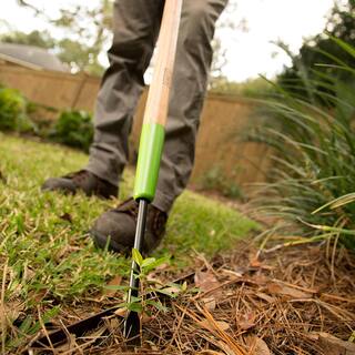 Ames 36 in. Wood Handle Forged Dandelion Weeder 2942100