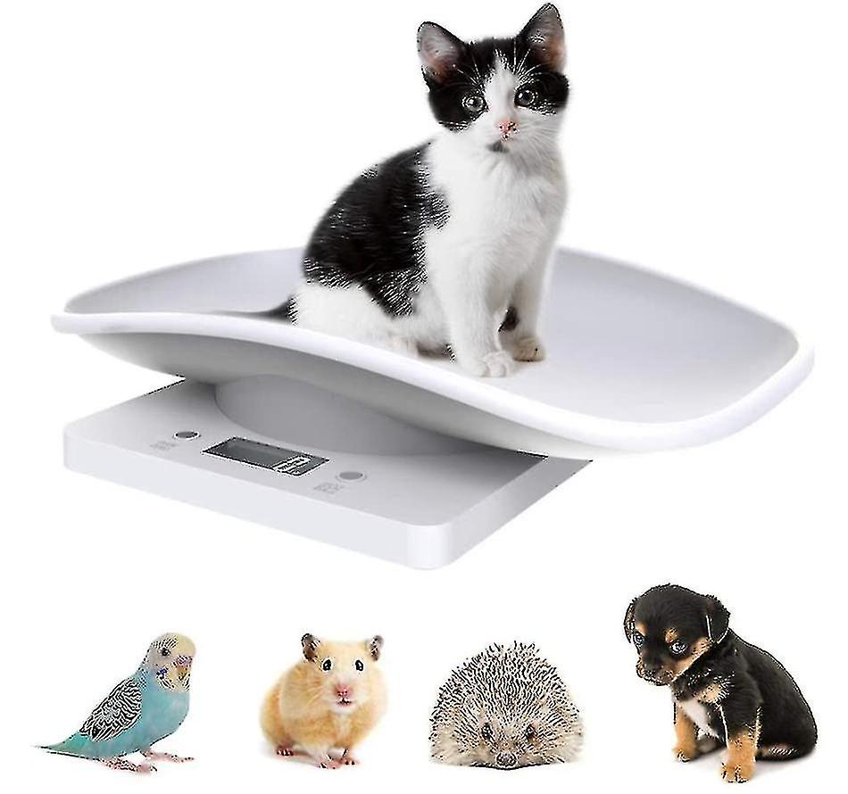 Digital Pet Scale Electronic Kit Food W Scale With Lcd Display 10kg/22lb