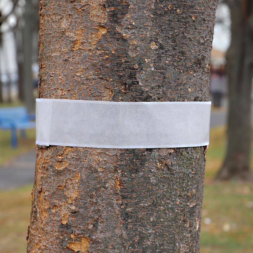 Catchmaster Tree Shield Insect Barrier 8 Roll Pack 933-HD-2E