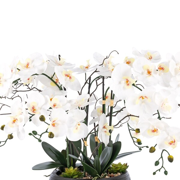 9 Stems Nearly Natural White Phalaenopsis Orchids with Succulents in White Magnesium Oxide Pot