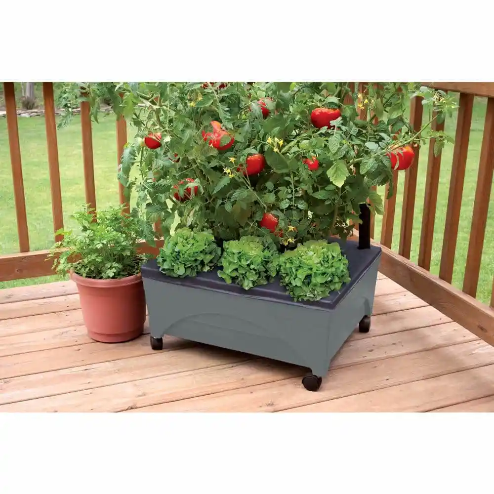 CITY PICKERS 24.5 in. x 20.5 in. Charcoal Gray Plastic Patio Raised Garden Bed Kit with Watering System and Casters