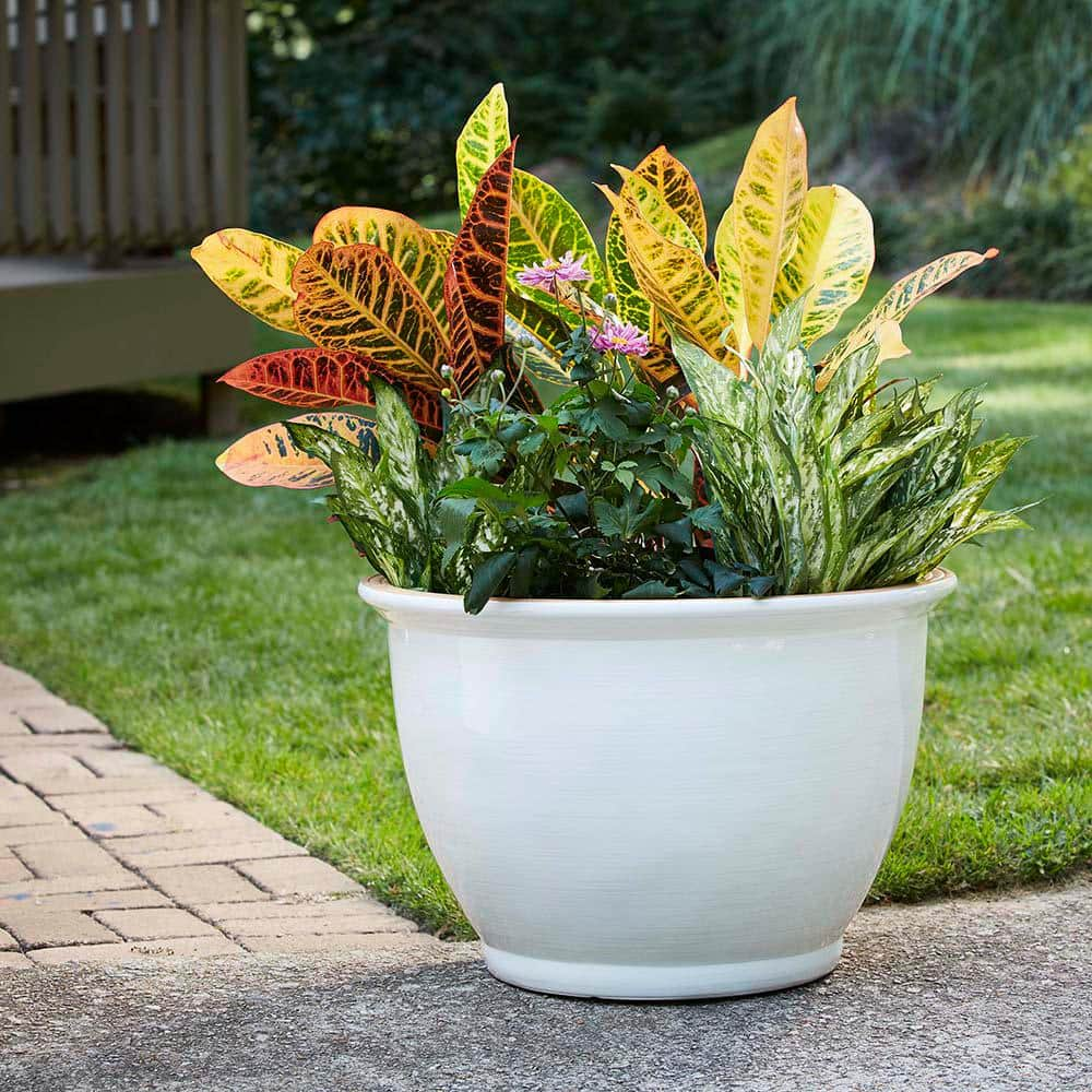 Southern Patio Willow Large 22 in. x 14.5 in. 55 qt. Chalk-Colored Resin Composite Outdoor Planter CMX-088752