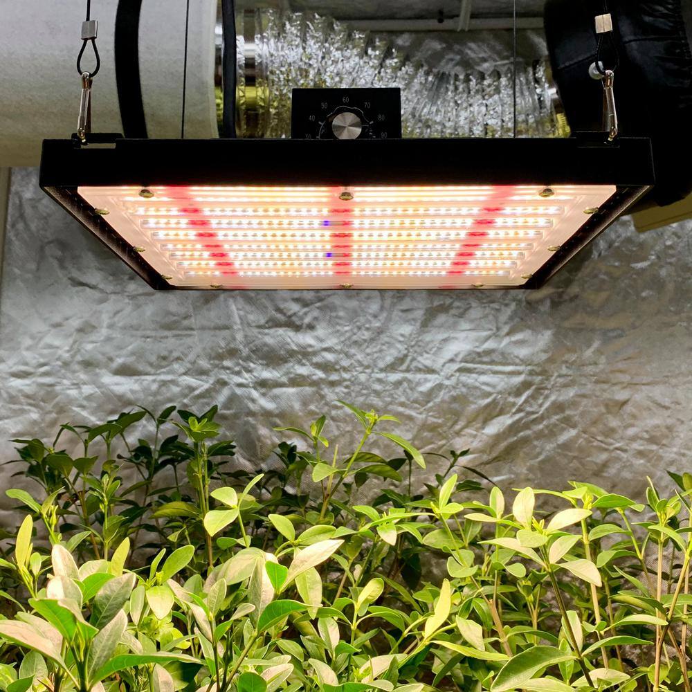 DYMOND 150-Watt LED Plant Grow Light Full Spectrum Heavy-Duty 4000K plus 3000K blue 405nm IR 730nm Red 660nm Warm Daylight GLBLK150HA