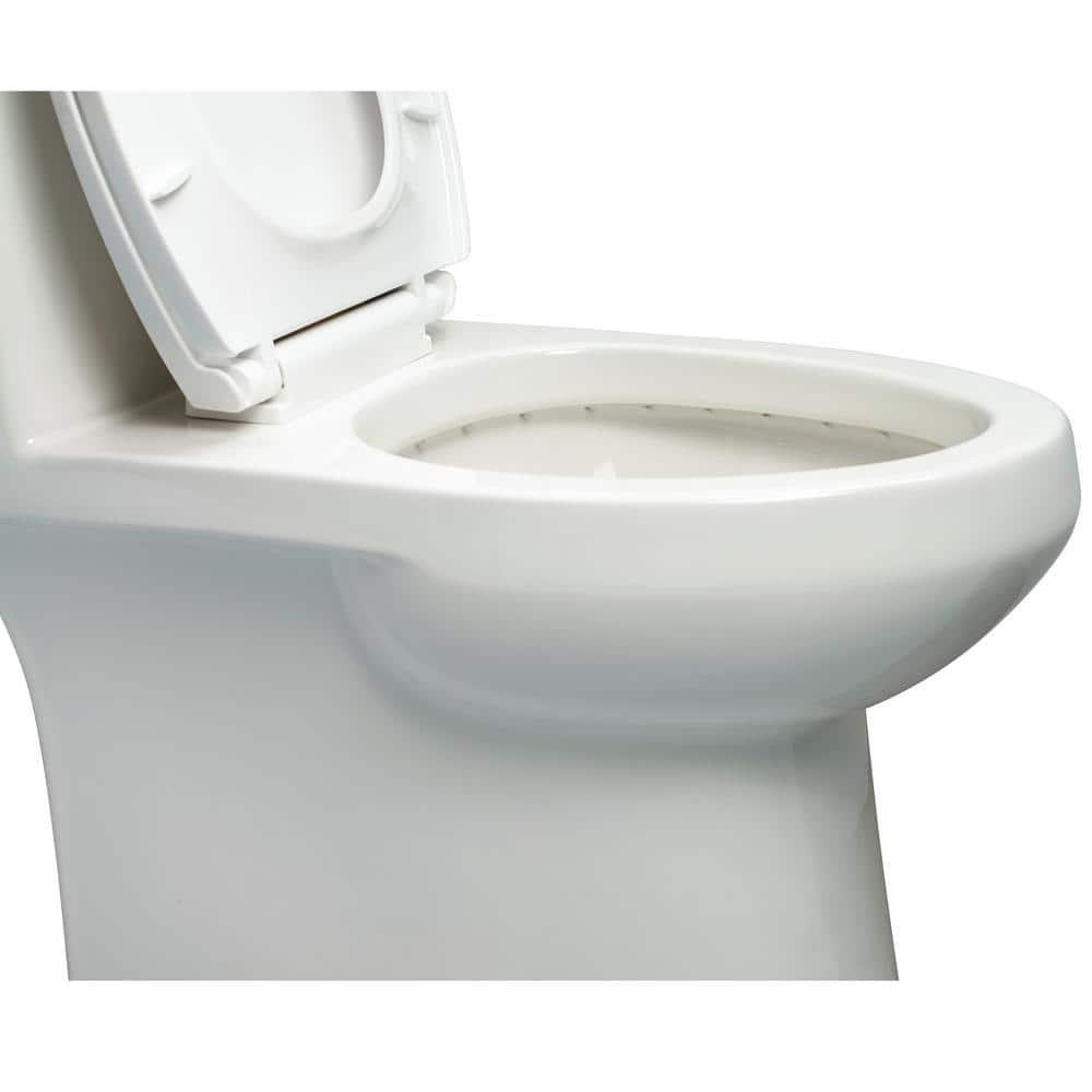 Foremost 1Piece 128 GPF Single Flush Elongated Toilet FM trim in White with Slow Close Toilet Seat Included