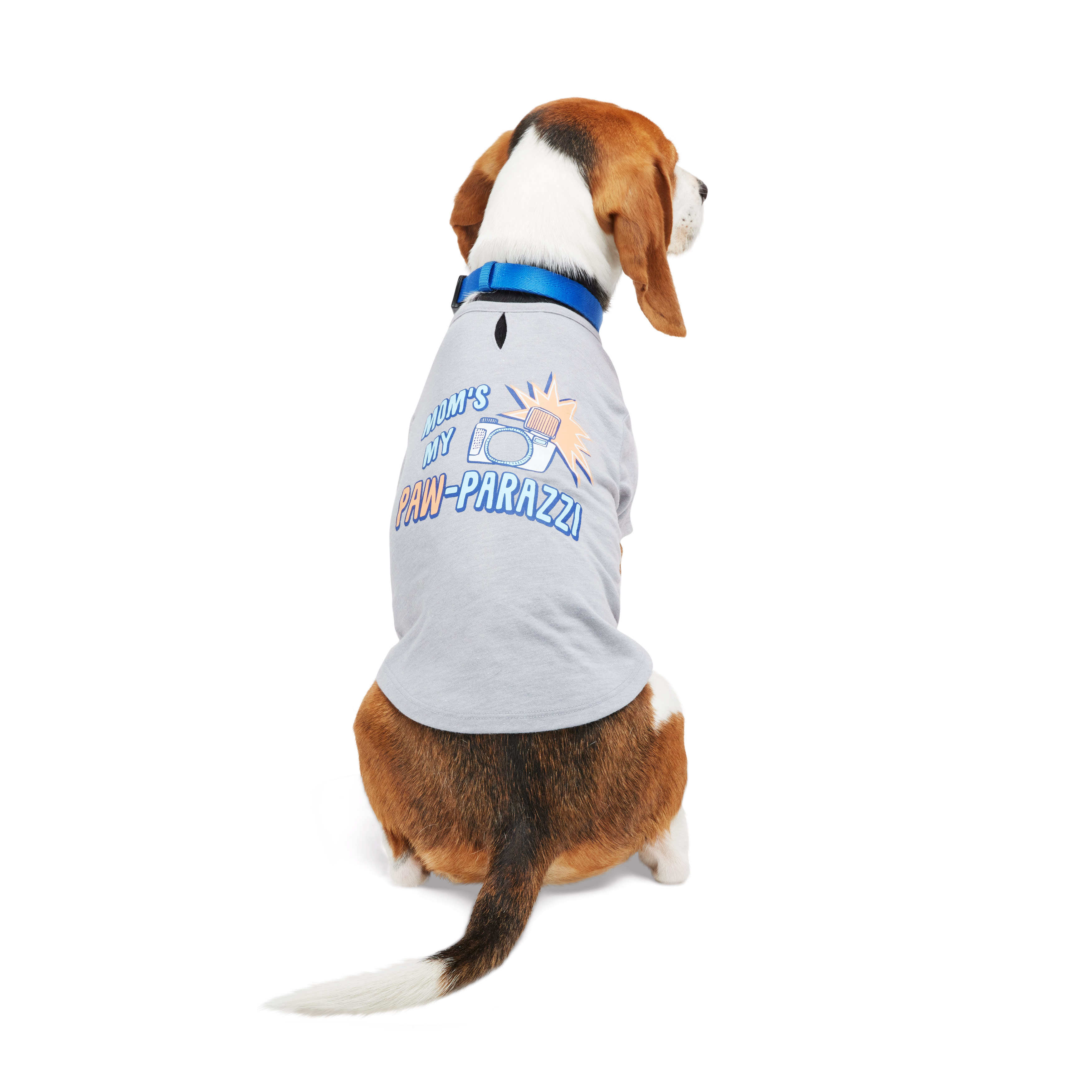 YOULY Pawparazzi Dog Tee， XX-Small