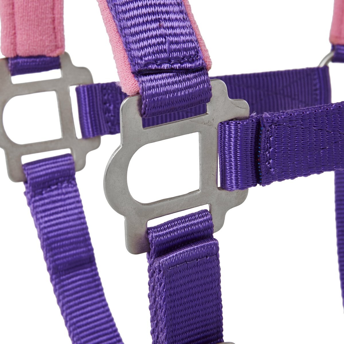 Tough-1 Nylon Padded Halter with Satin Horse Hardware， Purple