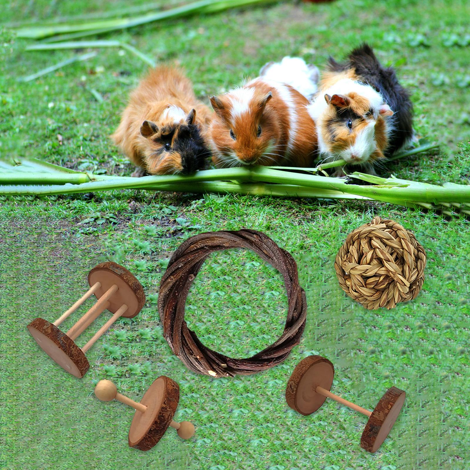 Guinea Pig Toys Set Natural Wooden Rabbit Bunny Rat Chinchillas Chew Toys Hamster Accessories for Small Animal Chewing and ， A