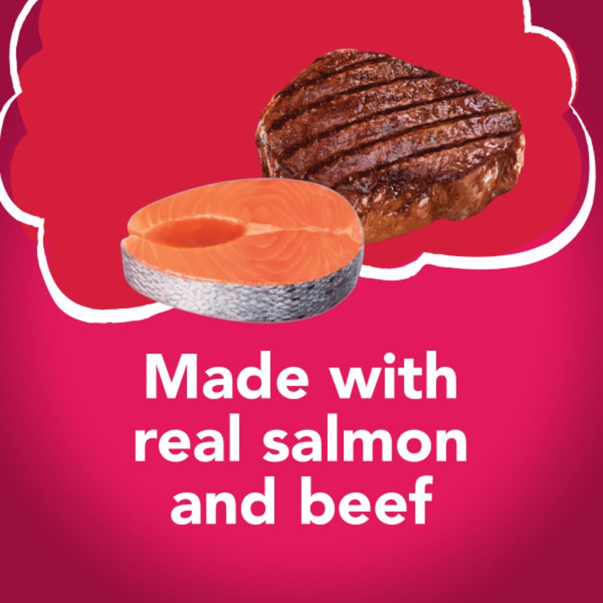 Friskies Prime Filets with Salmon and Beef in Sauce Canned Cat Food