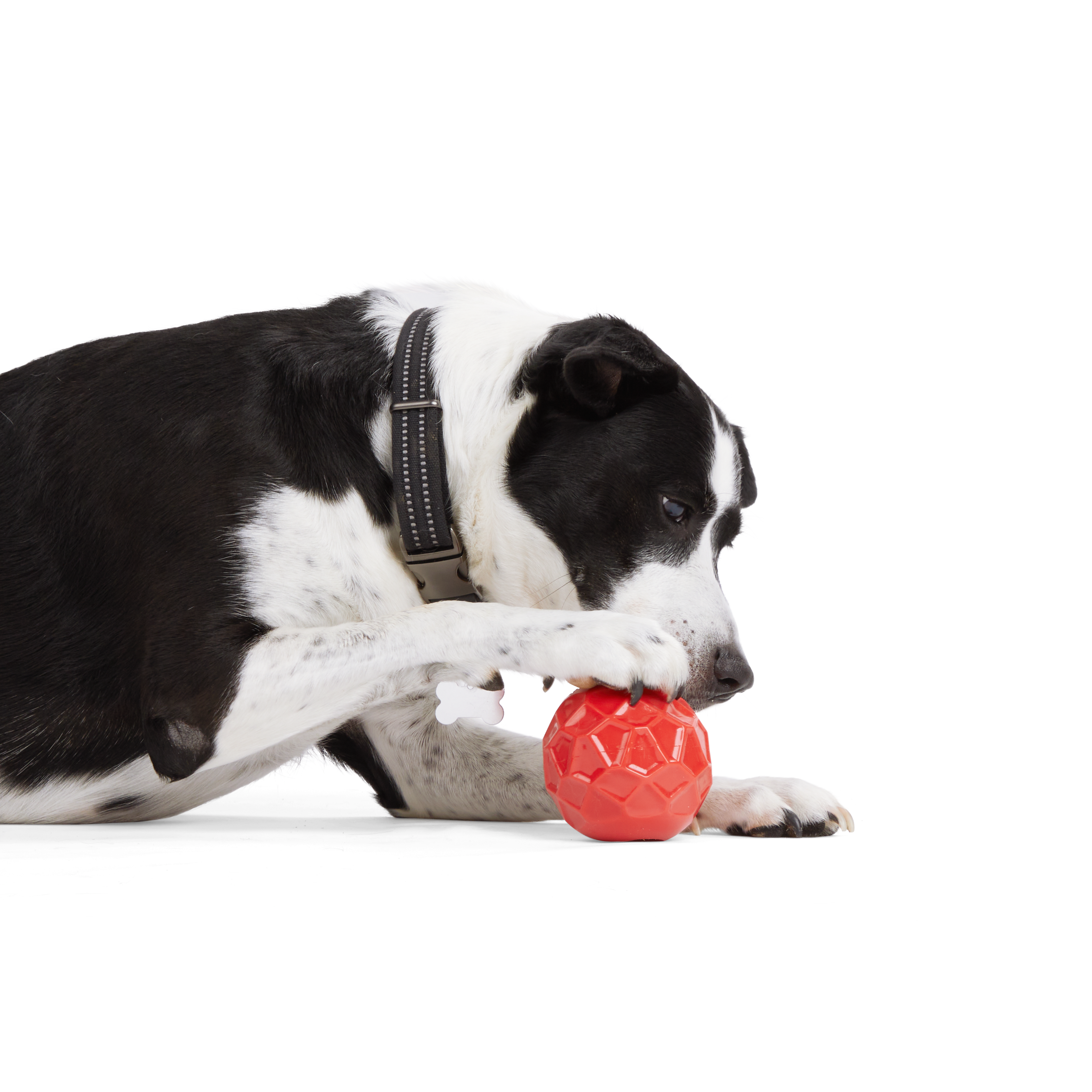 Reddy Cherry Geo Ball Dog Toy， Large