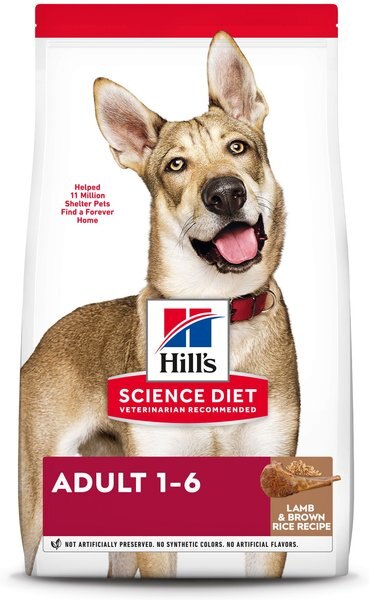 Hill's Science Diet Adult Lamb Meal and Brown Rice Recipe Dry Dog Food