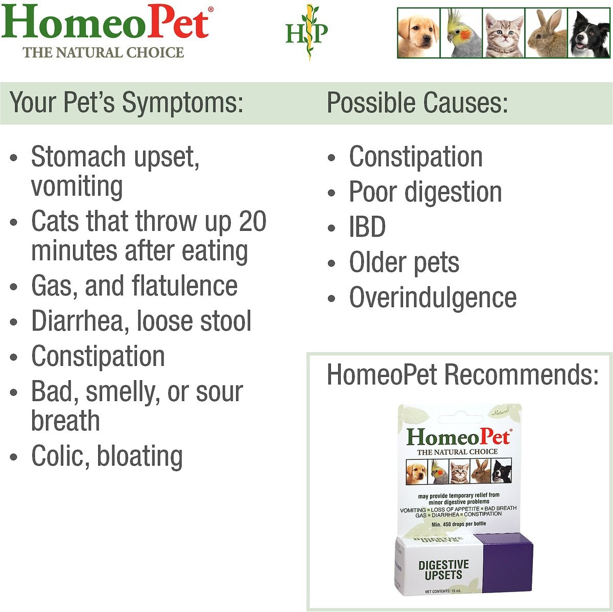 HomeoPet Digestive Upsets Homeopathic Medicine for Digestive Issues for Birds， Cats， Dogs and Small Pets