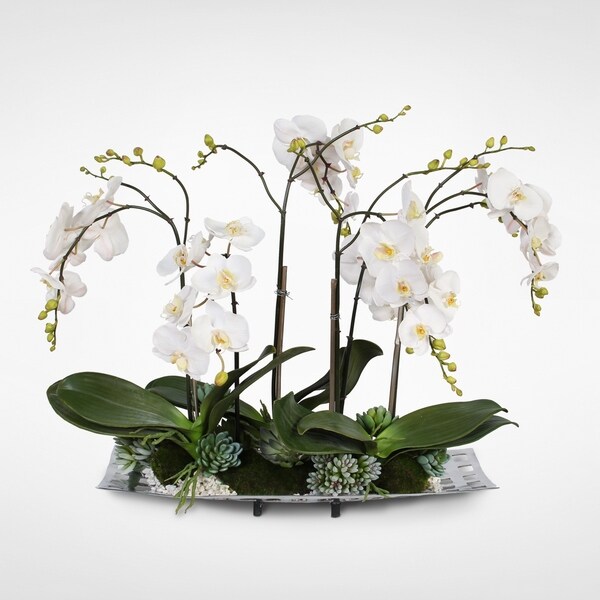 Real Touch White Orchids with Succulents in an Aluminum Tray