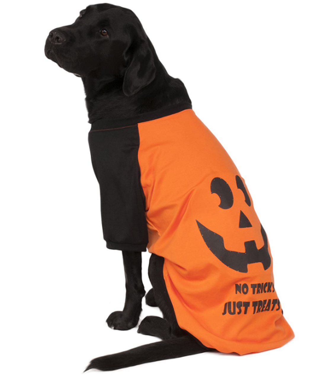 Rubie's Big Dog No Tricks Just Treats LED  Shirt Pet Costume