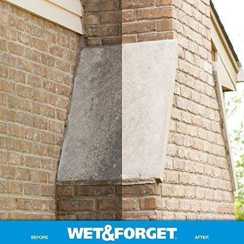 Wet and Forget 10587 1 Gallon Moss， Mold and Mildew Stain Remover