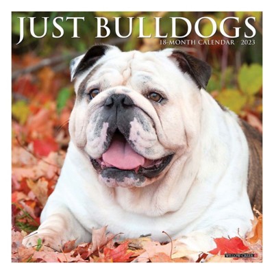 Willow Creek Press 2023 Just Bulldogs Calendar