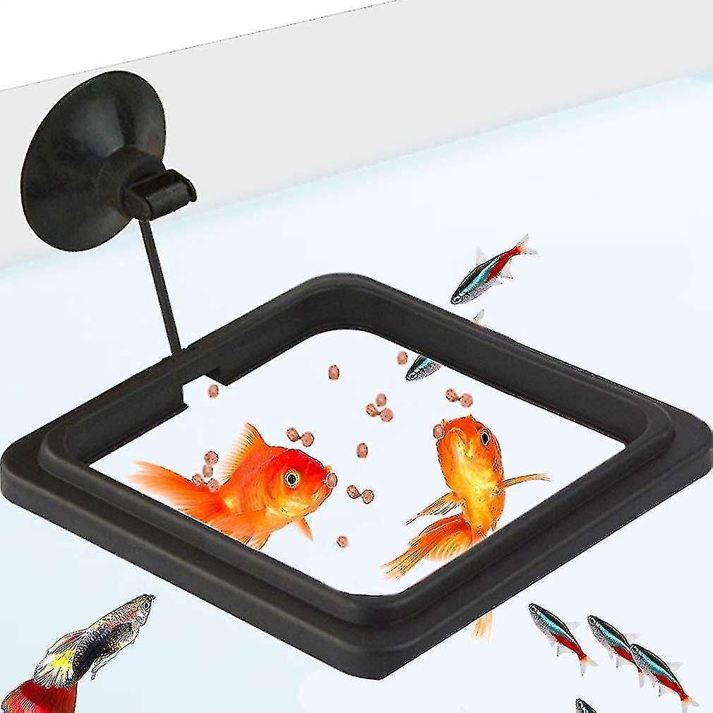 Feeding Ring， 4x4 Inches， Floating Food Square， Suitable For Flakes And Floating Fish Food For Goldf